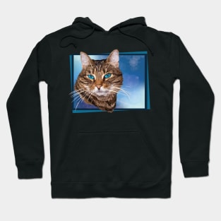 Cat Hoodie